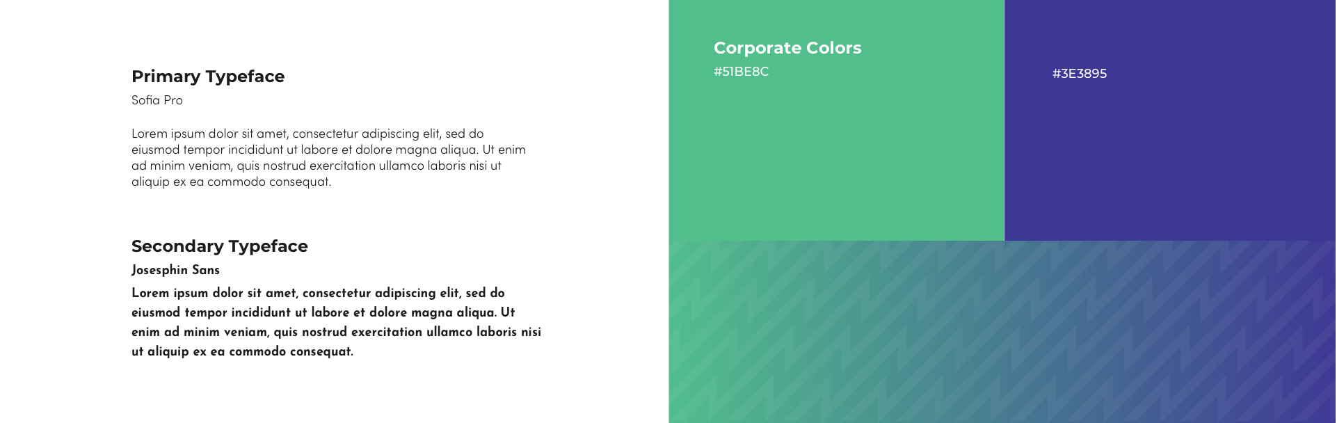 Colors and Typography