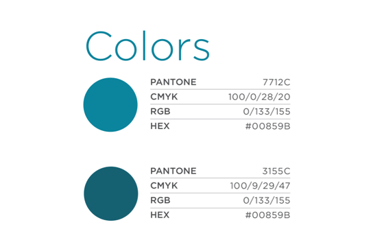 Brand Colors